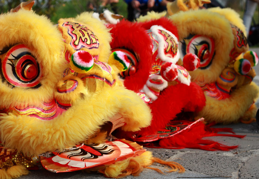 Lion Dance Performance | Discover Renaissance Hotels